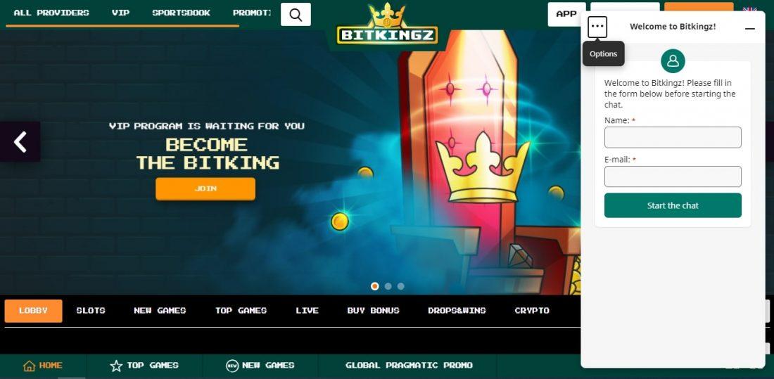 BitKingz Casino Customer Support