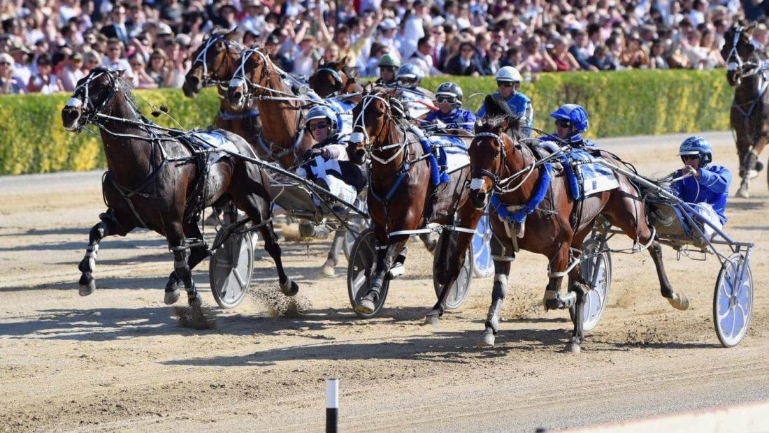 new zealand trotting cup
