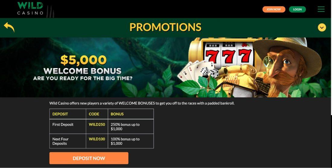 wild-casino-promotions